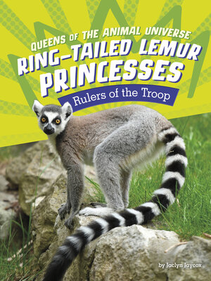cover image of Ring-Tailed Lemur Princesses
